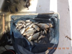 DSCN7347.JPG