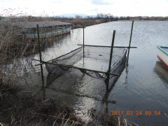 DSCN7341.JPG