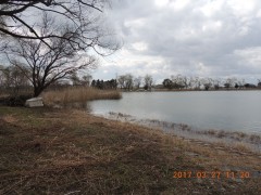 DSCN7412.JPG