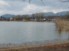 DSCN7411.JPG