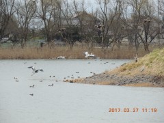 DSCN7409.JPG