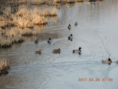 DSCN7518.JPG