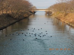 DSCN7522.JPG