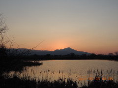 DSCN7494.JPG