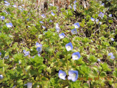 DSCN7636.JPG