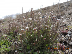 DSCN7623.JPG