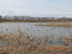 DSCN7621.JPG
