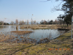 DSCN7683.JPG