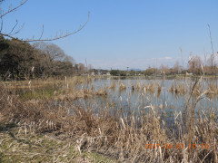 DSCN7689.JPG