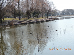 DSCN7675.JPG