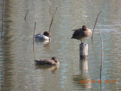DSCN7671.JPG
