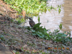 DSCN7704.JPG