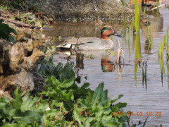 DSCN7705.JPG