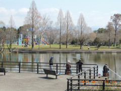 DSCN7721.JPG