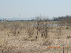 DSCN7813.JPG