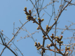 DSCN7746.JPG