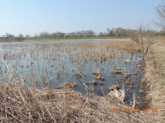 DSCN7751.JPG