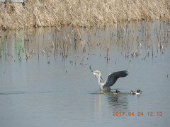 DSCN7790.JPG