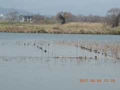 DSCN7797.JPG