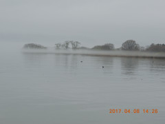 DSCN7874.JPG