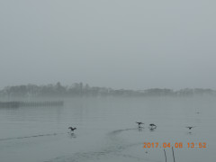 DSCN7856.JPG