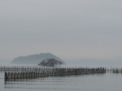RSCN7849.JPG