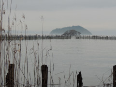 RSCN7850.JPG