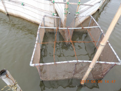 DSCN7897.JPG