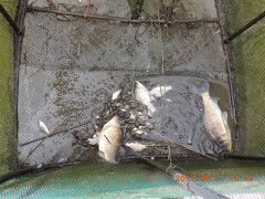 DSCN7895.JPG