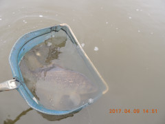 DSCN7899.JPG