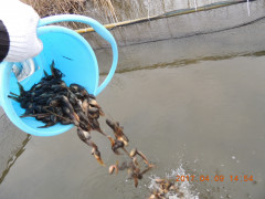 DSCN7901.JPG