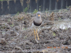 DSCN7919.JPG
