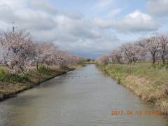 DSCN7939.JPG