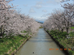 DSCN7940.JPG