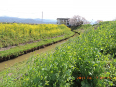 DSCN7942.JPG