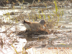 DSCN8038.JPG