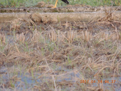 DSCN8015.JPG