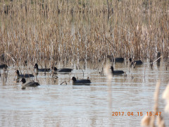 DSCN8073.JPG