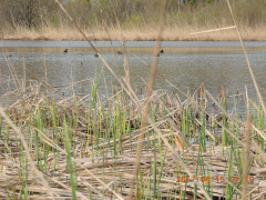 DSCN8066.JPG
