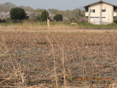 DSCN8063.JPG
