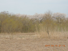 DSCN8062.JPG