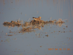 DSCN8079.JPG