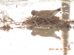 DSCN8077.JPG