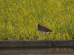 DSCN8084.JPG
