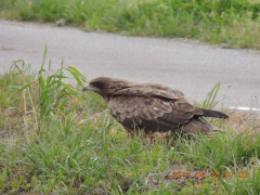 DSCN8050.JPG