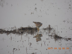 DSCN8093.JPG