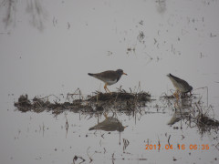 DSCN8094.JPG