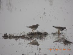 DSCN8095.JPG