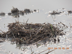 DSCN8096.JPG