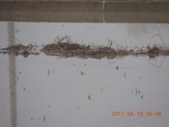 DSCN8099.JPG